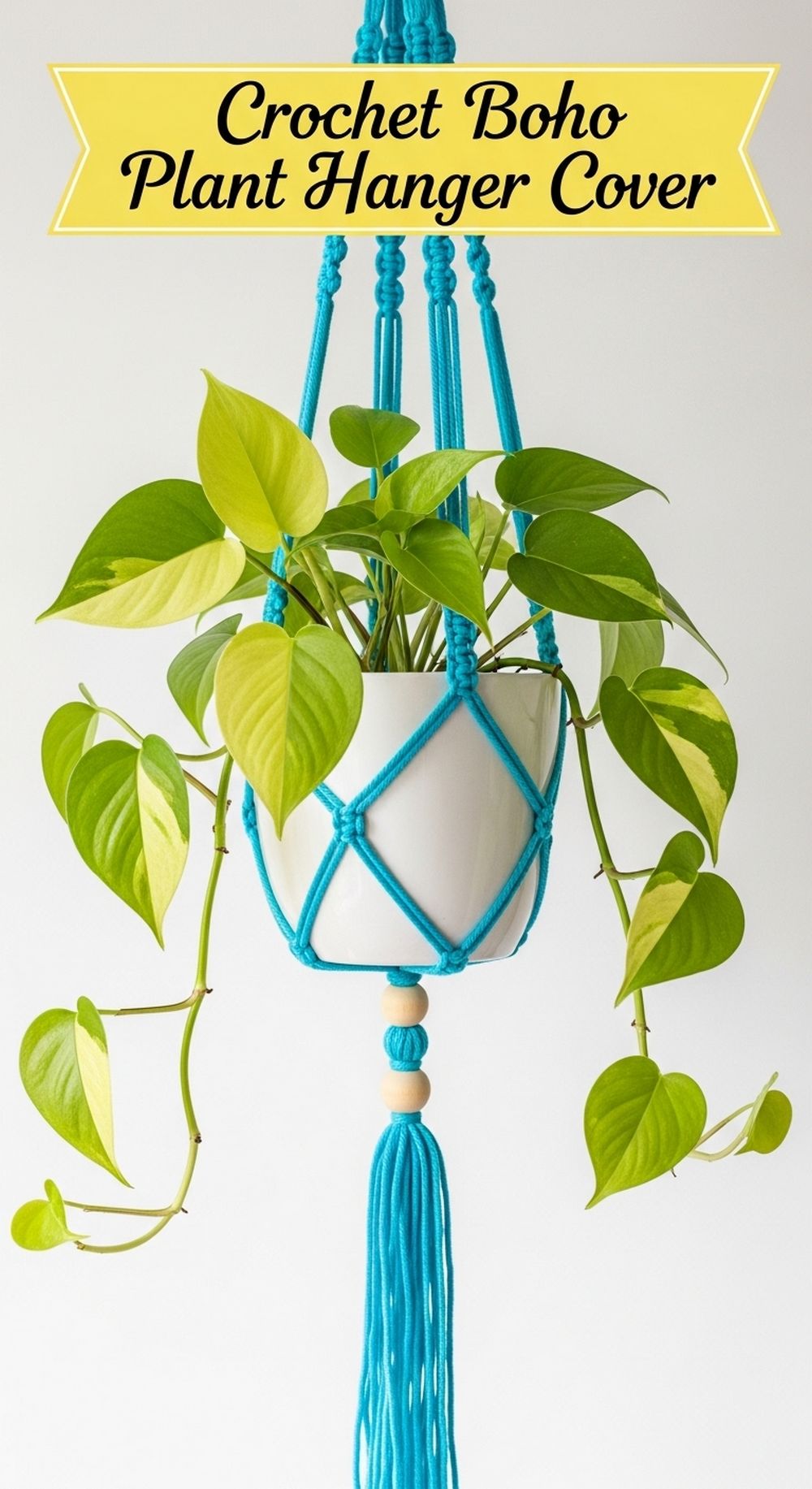Crochet Boho Plant Hanger Cover